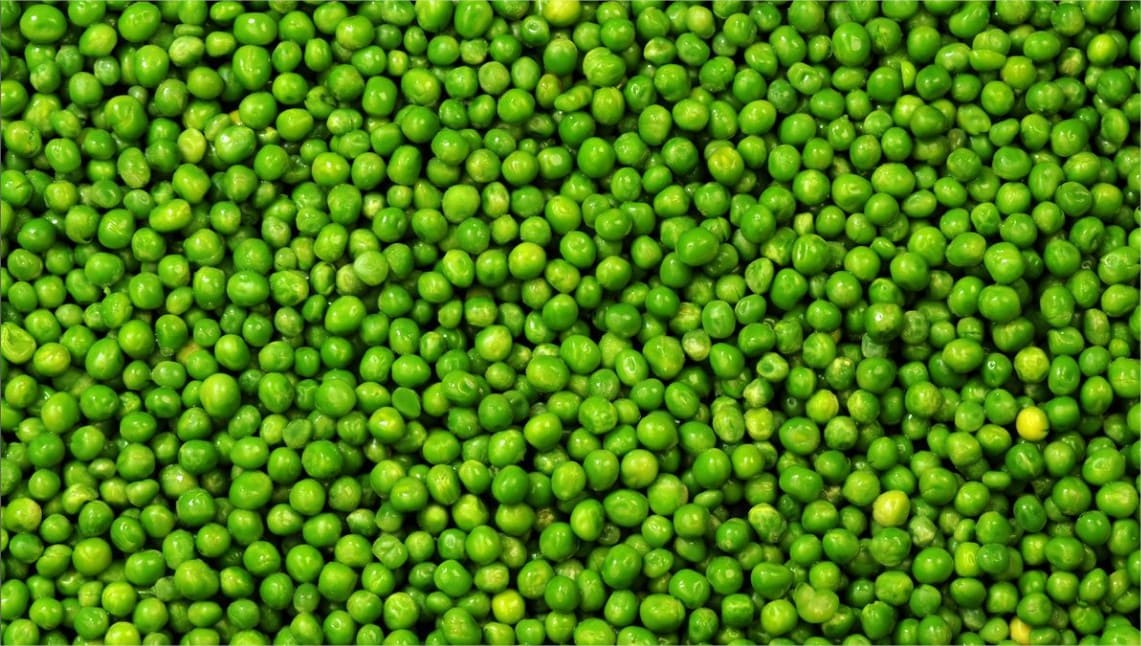 Petit pois – Image 2