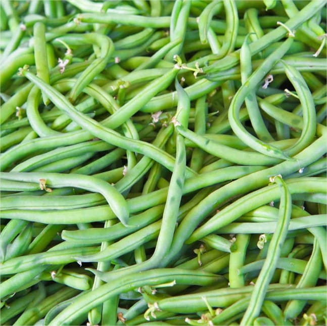 Haricots verts – Image 2
